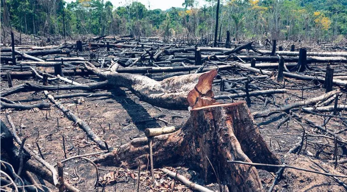 BrunettiRafael's tweet photo. 👉Desmatamento na Amazônia já é o maior da história desde 2015
O acumulado de alertas sobre desmatamento na Amazônia Legal em fevereiro foi o maior para o mês desde 2015, quando começou a série histórica. Dados do Instituto de Pesquisas Espaciais (Inpe) https://t.co/Ux0wvJeifk
