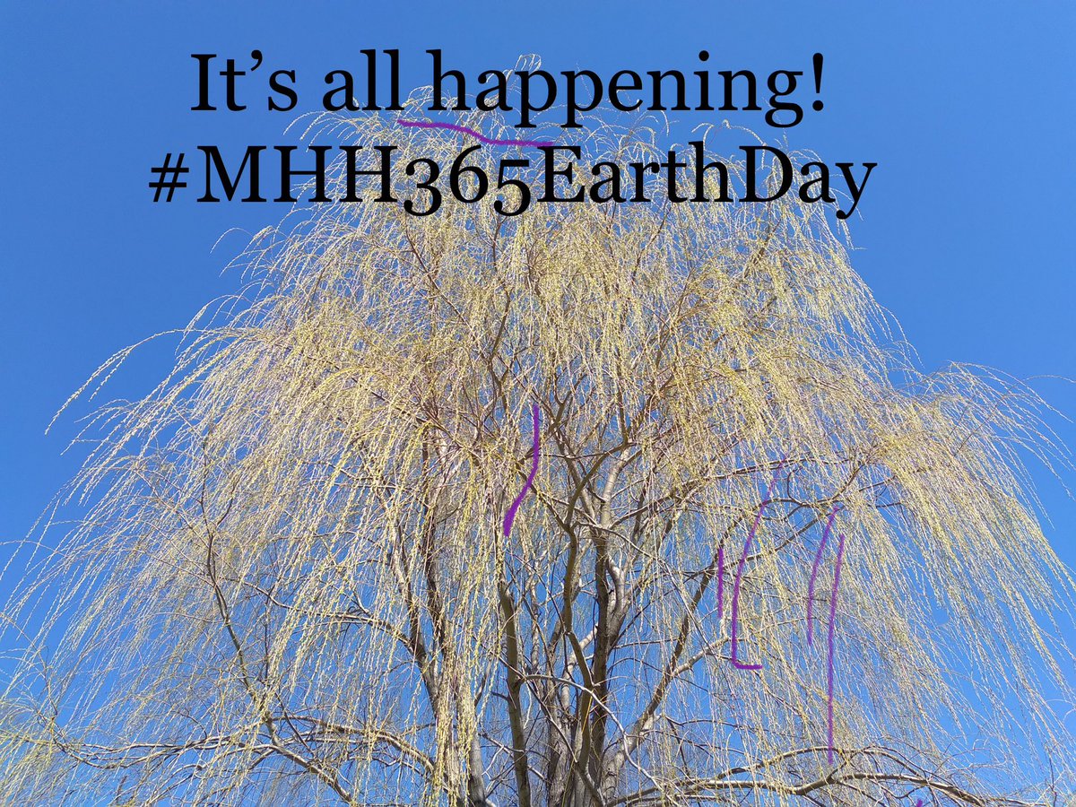 Earth Day ideas are brewing here at MHH365. 
Share your #EarthDay2023 events with us #CambridgeMA, so we can spread the word!