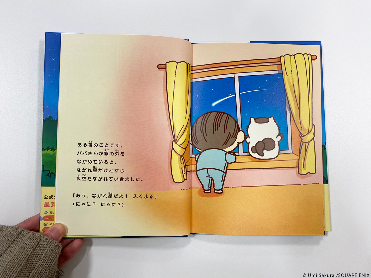 激レア【おじさまと猫】桜井海先生 描き下ろしイラスト複製原画 ※現存2