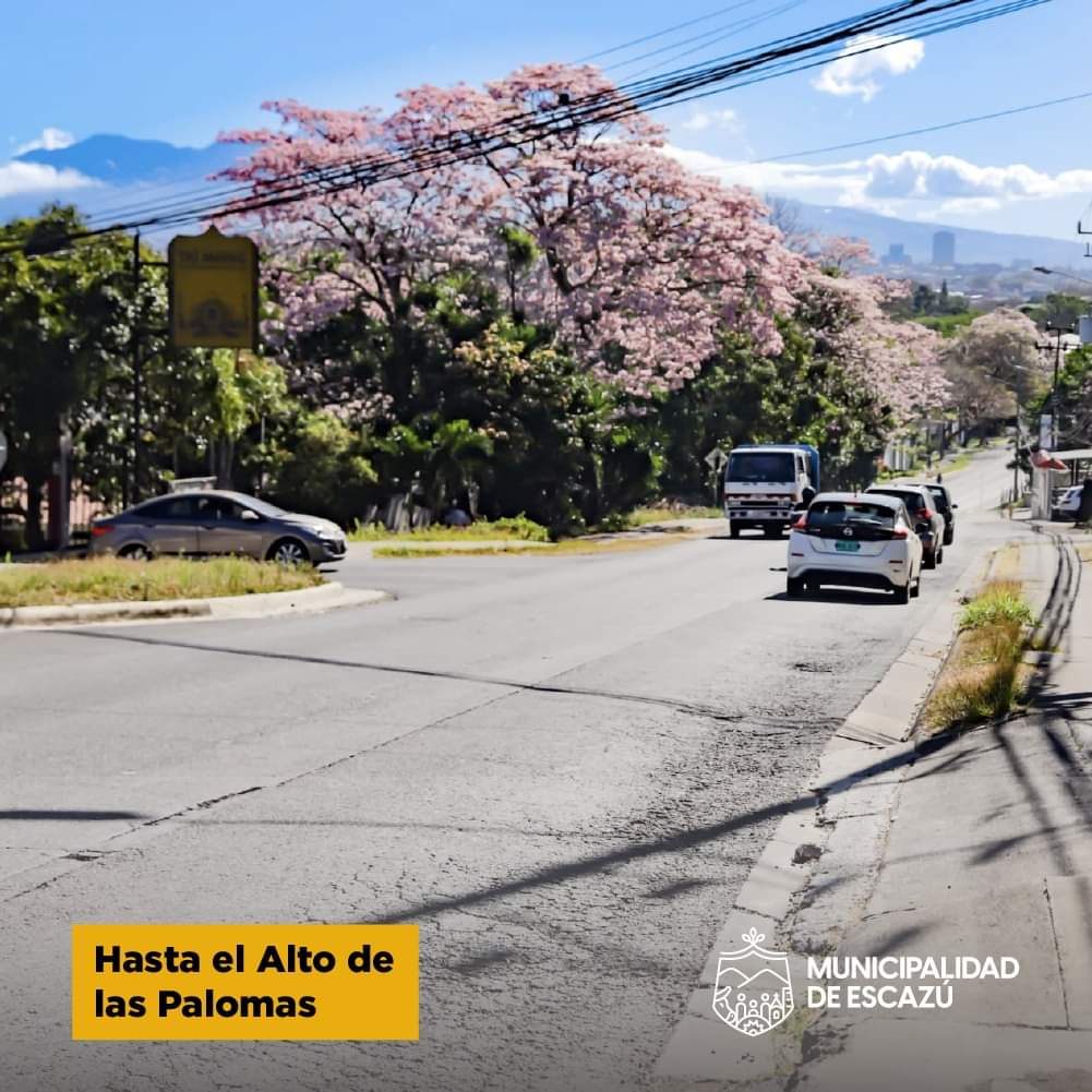 MEscazu's tweet photo. Le informamos a las personas que transitan por el Alto de las Palomas, que debido a las lluvias que se presentan los trabajos de recarpeteo que aun faltan en la ruta 121; se realizarán de 8:00 AM hasta las 5:00 PM. En ese horario habrá cierre total de la vía en este sector. https://t.co/M2Jjs3rV9z