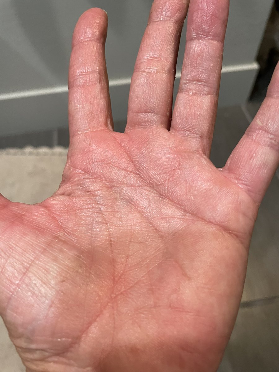 Tamie Dramer tweet media