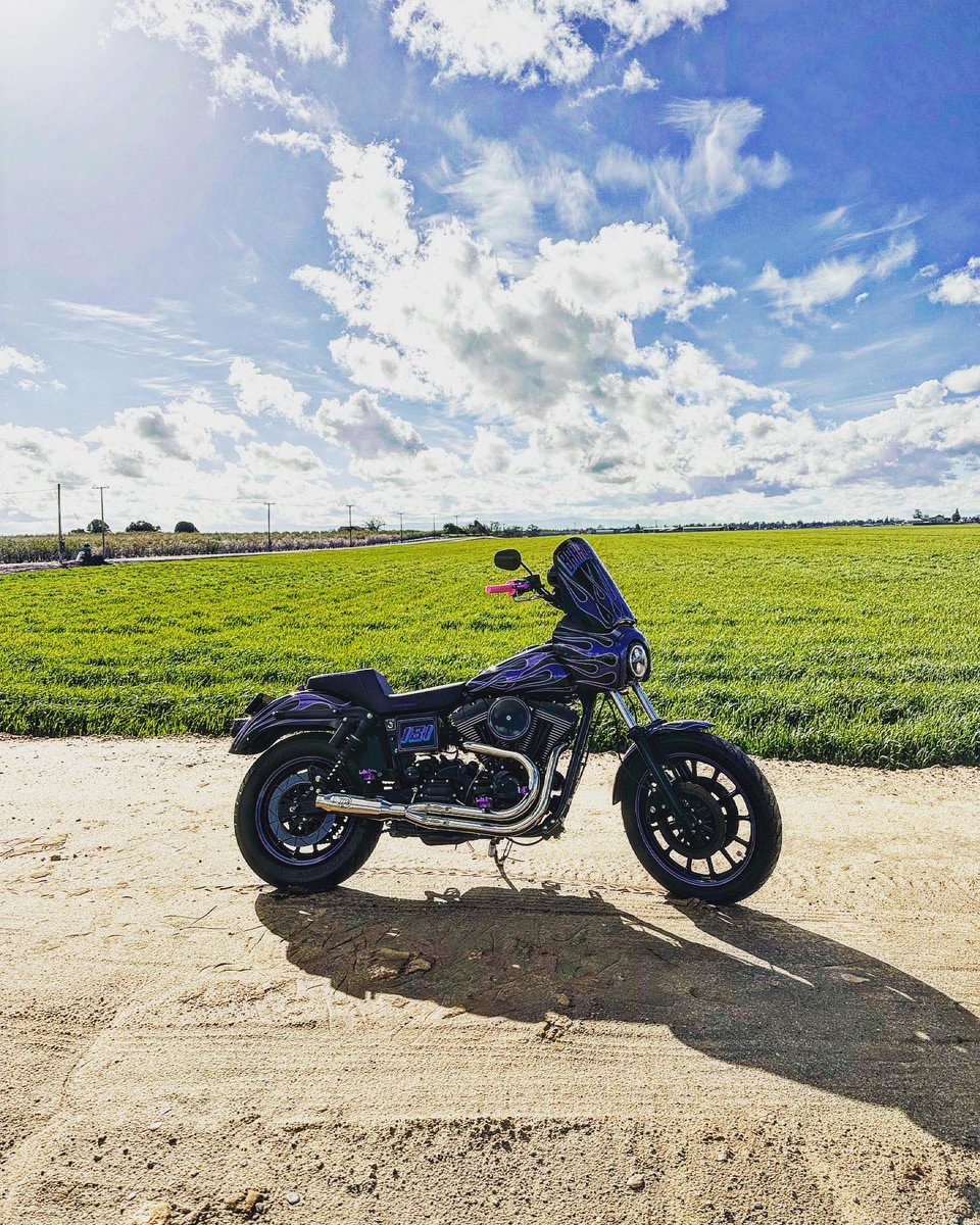 carli_beau's tweet photo. Here she is “the fresh prince of denair” came out unreal! @workingclass_garage can’t thank you enough u went above and beyond🙌🏼 all the late nights busted knuckles countless hours was well worth it! 2023 is gonna be a good one💪🏼#tsport#harleywheelies#thefreshprinceofdenair👑 https://t.co/P0RCWmrQxF