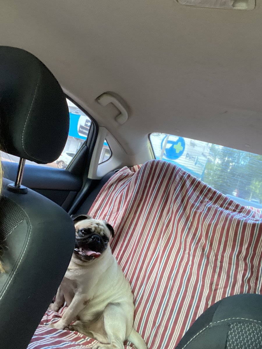 Mientras más conozco a la gente, más quiero a mi perro. Mi ídolo personal! #Bob