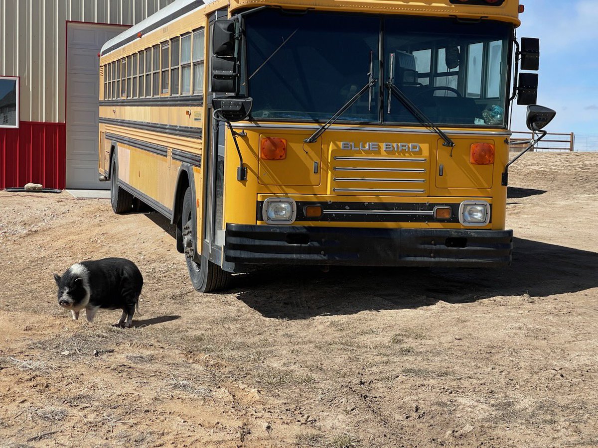 Ded1studios's tweet photo. Working on the DEwey DeD tour bus with Chop Norris #nfts #NFTartwork #nftcollectors @Casta_DeD1 @joeded1 @Ded1studios Rig  coming to a city near you ! https://t.co/iut885nmeb