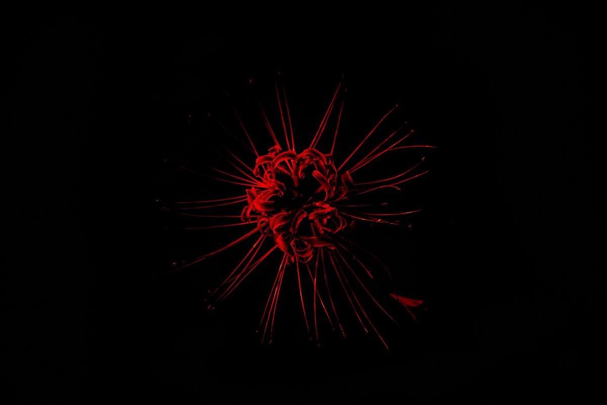 Sinn_photograph's tweet image. 赤