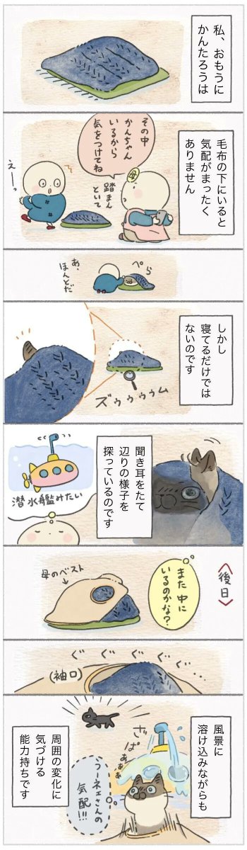 気配と自身を毛布へ隠し、何やら怪しい遊びに没頭する猫【連載】ねこ連れ草 269話め|ねこのきもちWEB MAGAZINE https://t.co/9EnAMjCISI 