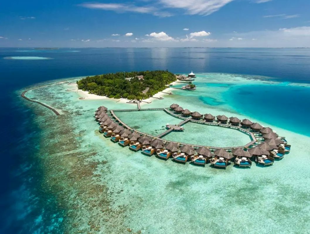 semrasevimli44's tweet photo. 🌎🍷🐬 Maldives 💦💞🐳 https://t.co/dEKeU5m2bL