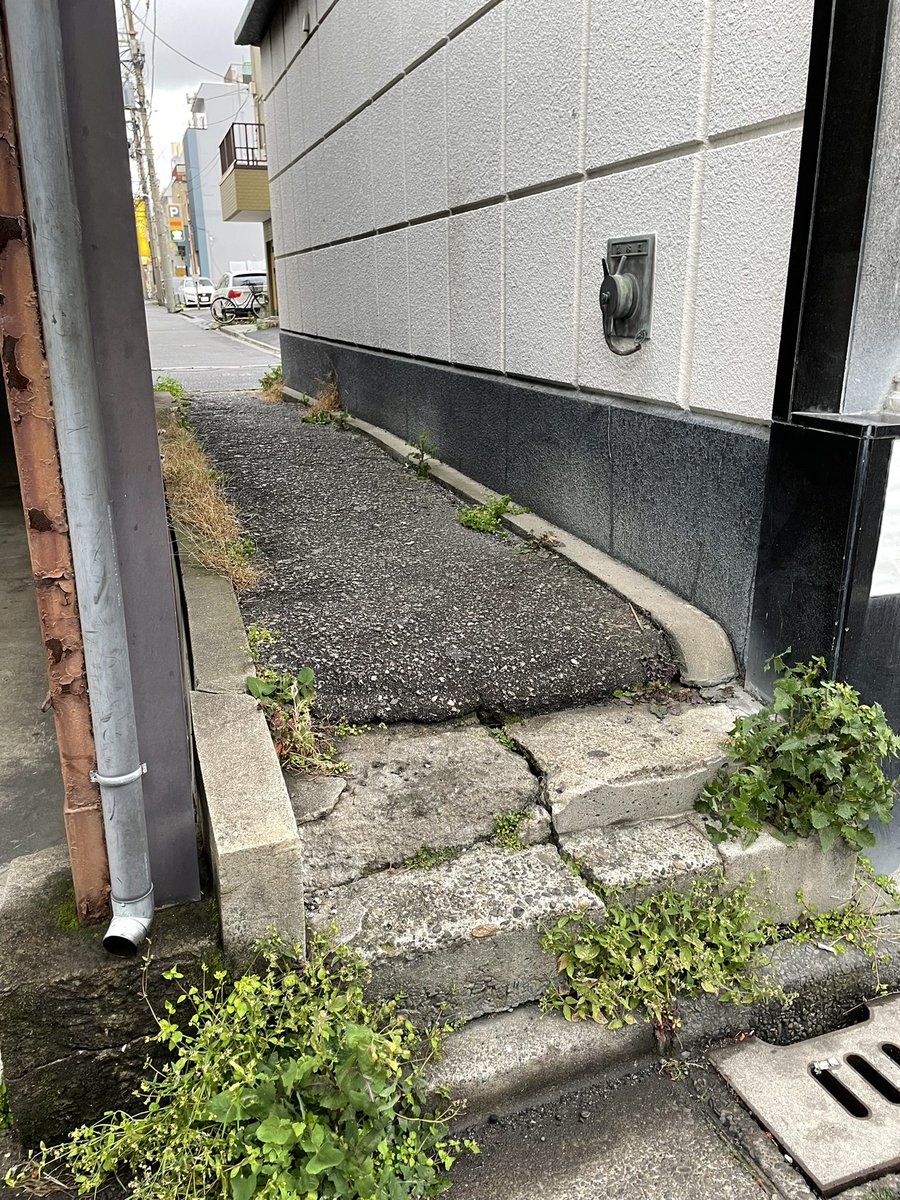 kanawaka7's tweet photo. 江戸ガチさんぽ仲間に教えてもらった ちょっとした段差、細さにときめきます✨✨
ここ、私だけ気づいていなかったなぁぁぁ。なんで気づかなかったんだろう。。
吉原の羅生門河岸沿い。今の花園通り。
この通りの先、土手通りを渡ったところに、日本堤橋がありました。 https://t.co/4RQNJ1XVsU