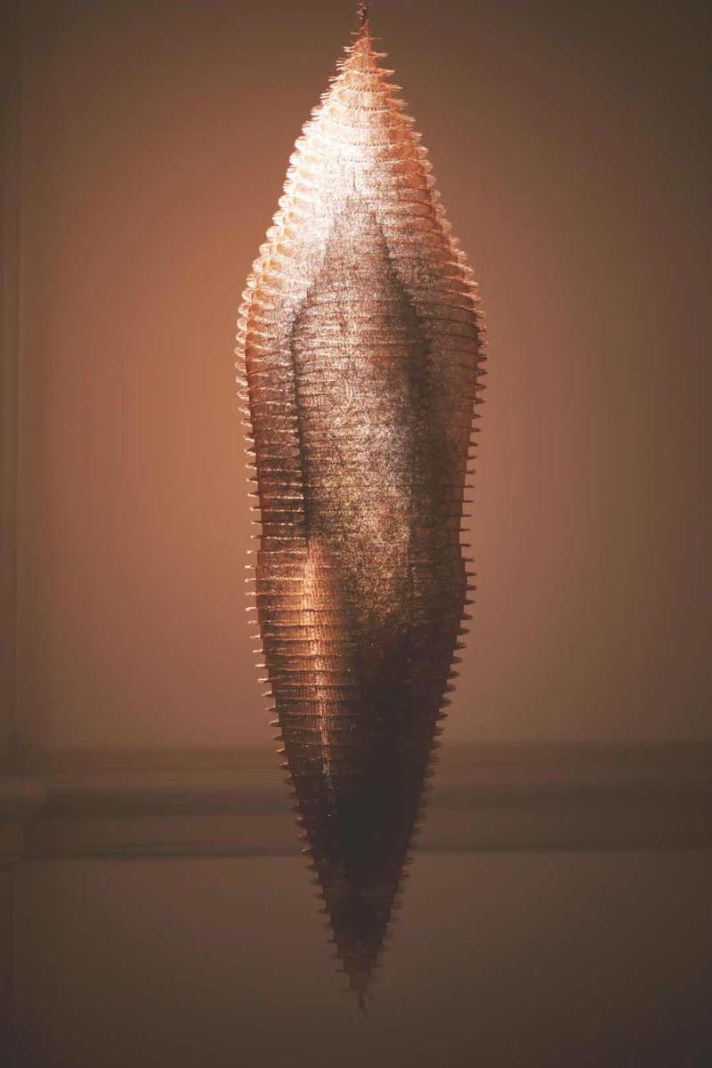 Megaverse (@neonmegaverse) on Twitter photo 