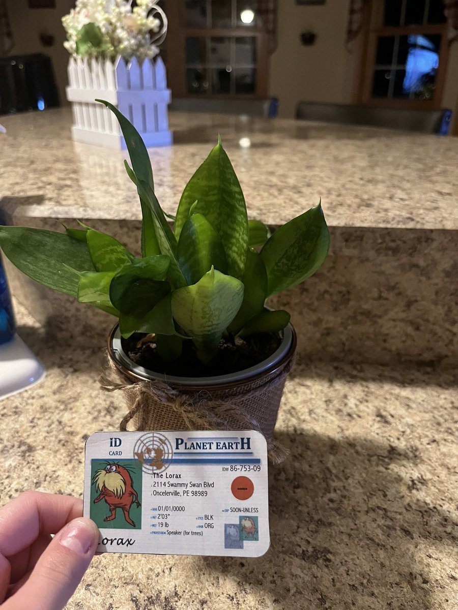 CaitlynLorax3's tweet photo. This plant needs water, fertilizer, and soil with a balanced ph level. You have to be careful that you don’t overwater it! @franklinlorax #apesland https://t.co/CnbFphmt5K