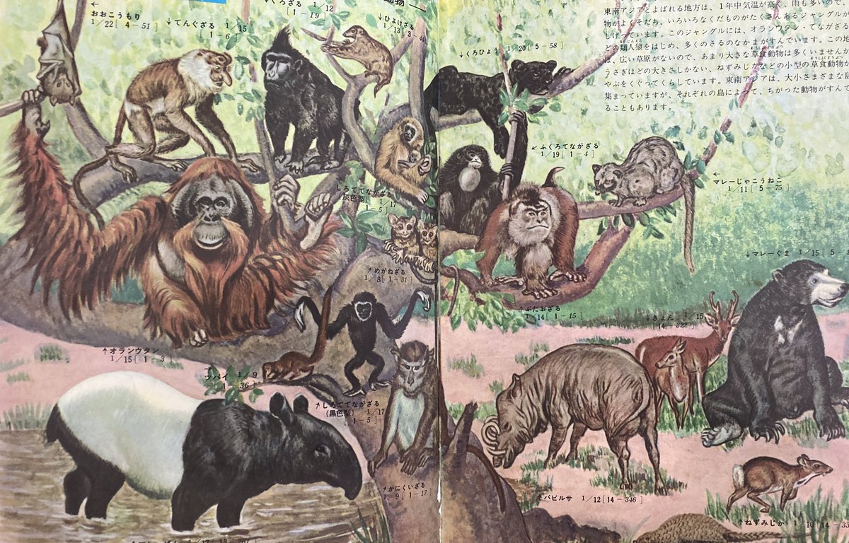昔の図鑑で何にも変えがたいほど心が躍るのがこの、住んでる地域ごとに鳥とかけだものとかが勢ぞろいした図。パノラマ。地球の図鑑(今持ってない…)では時代ごとに太古の生物が大集合。ああ、かっこいい。