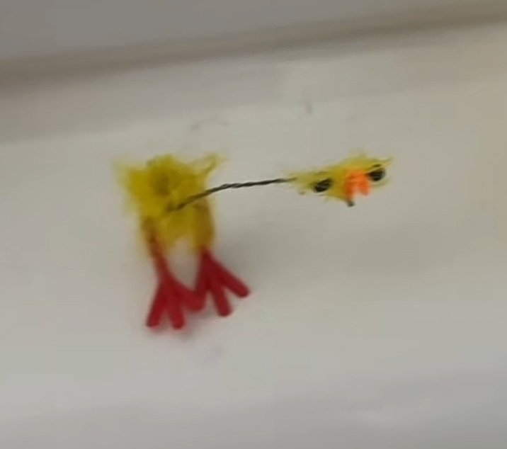 Shrimp is bug - 🏳️‍⚧️ tweet media