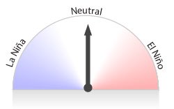 Ben Domensino tweet media