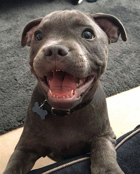 Esa mirada me alegro el día...