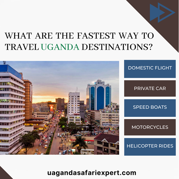 Uganda_Safari's tweet image. The fastest way to travel to Uganda’s different destinations

🛩️✈️ Ready to explore Uganda? Here are some of the fastest ways to travel to different destinations within the country! 

beauty from above. 🚁🌳🌅 #TravelFast #DiscoverUganda 🇺🇬🐘🦓
