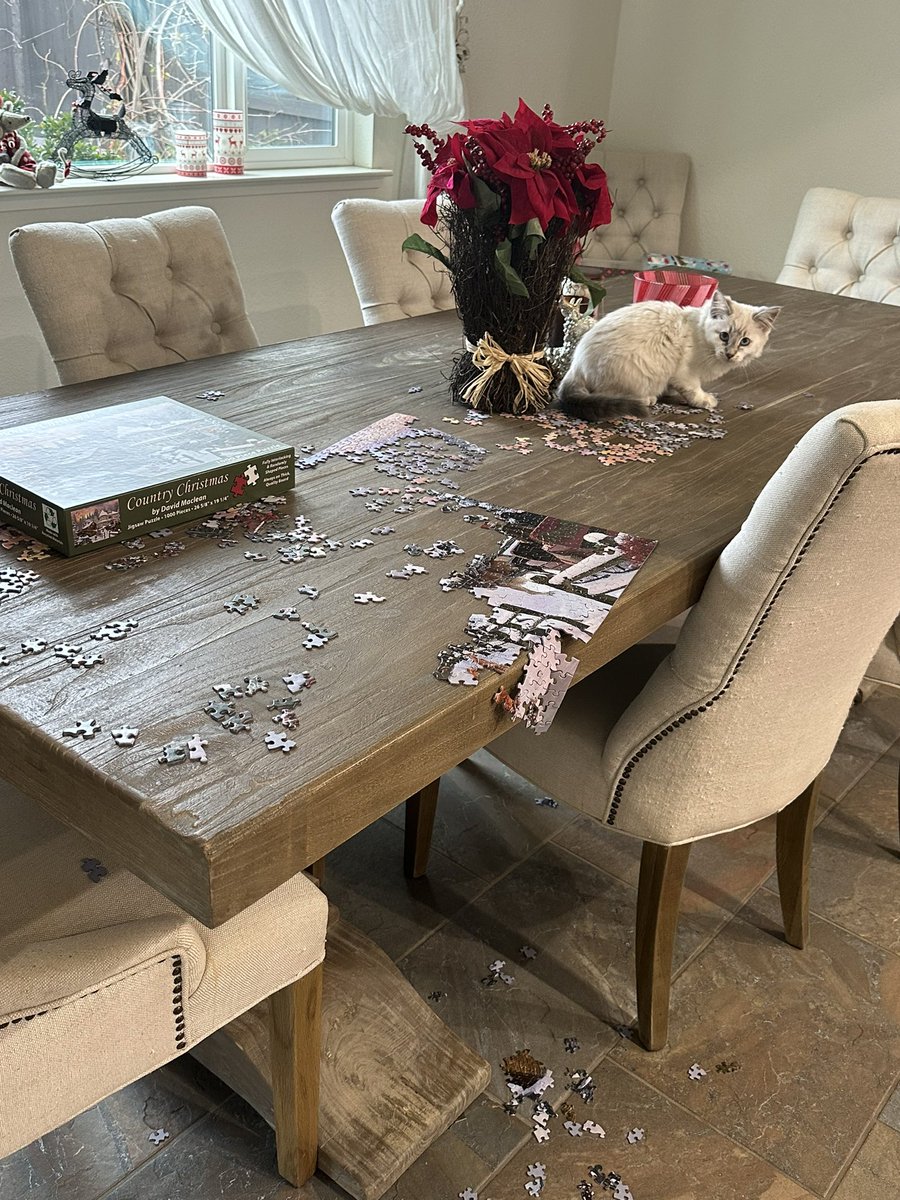 ashleysens's tweet photo. @SoftSide1 Best actor. “What? I didn’t do anything. The dog did this.” https://t.co/DNV2aGNdPC