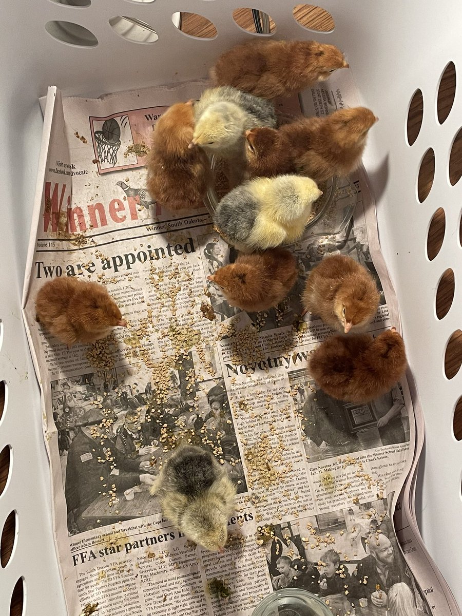 SDFARMNET's tweet image. Round 2: