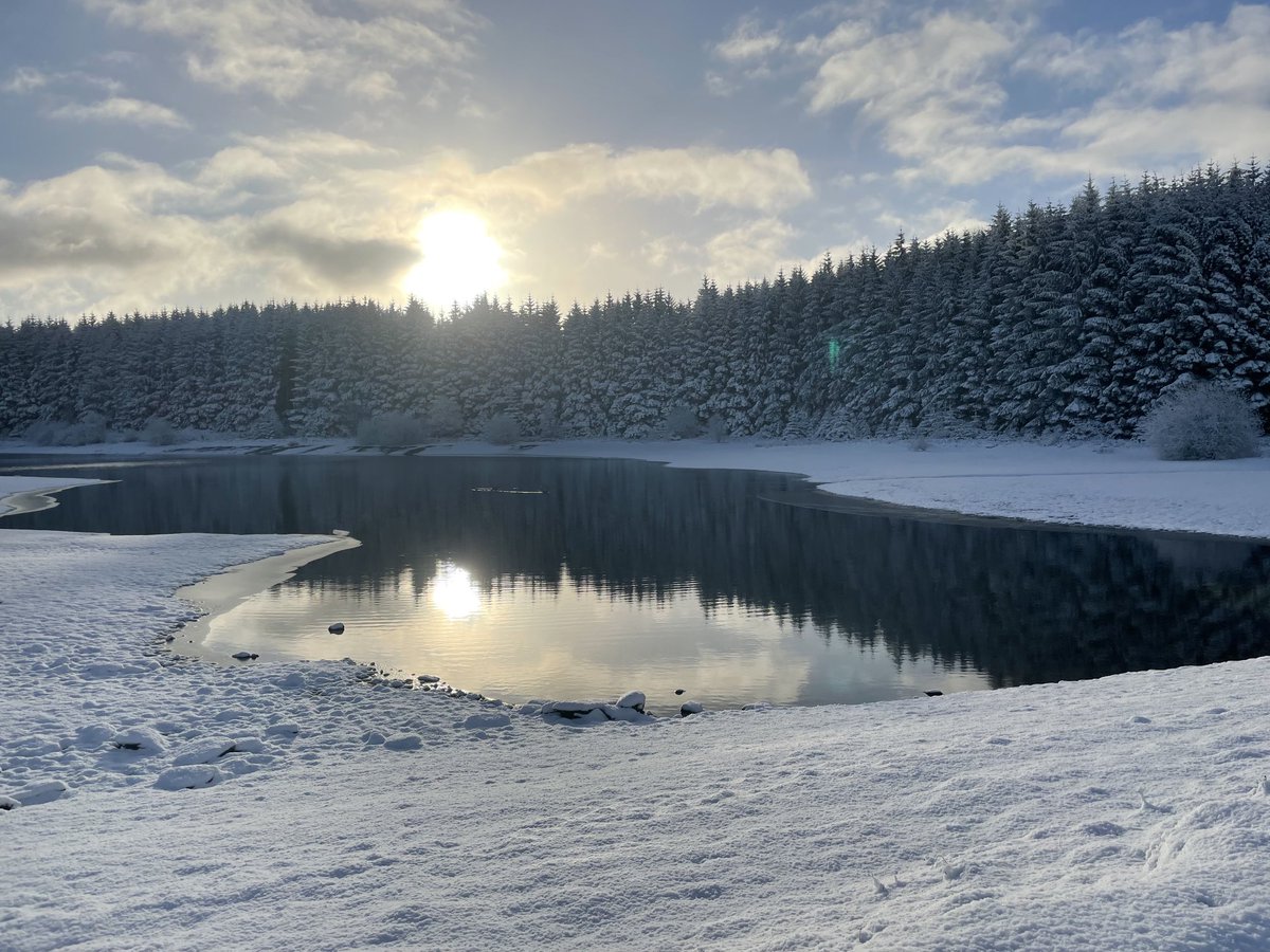 juniejarv's tweet image. ⁦@OPALlandegla⁩ ⁦@BadgerLlandegla⁩ after having a couple of days walking around #nantmill it’s wonderful to be back in #llandeglaforest🏴󠁧󠁢󠁷󠁬󠁳󠁿❤️