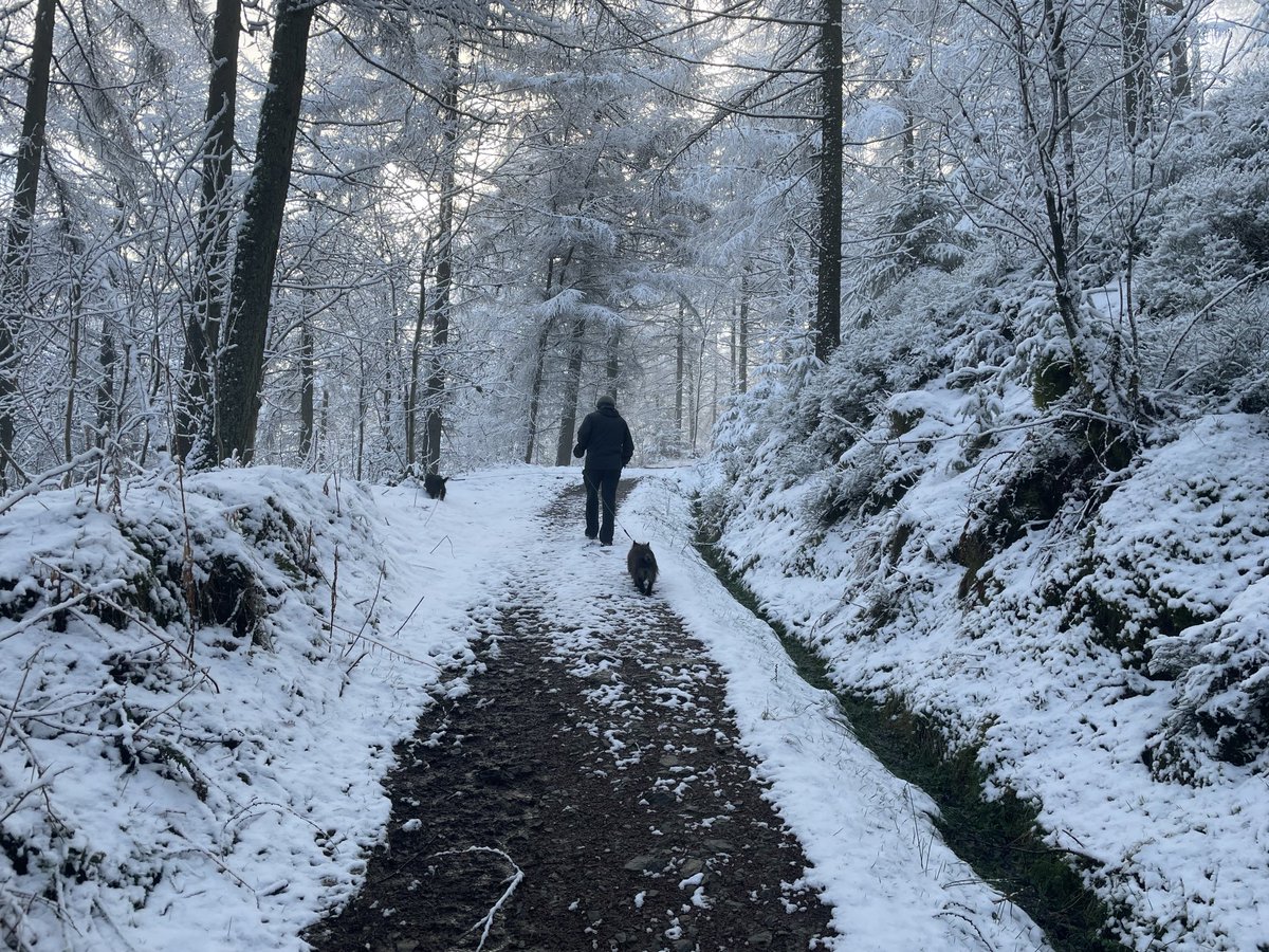 juniejarv's tweet image. ⁦@OPALlandegla⁩ ⁦@BadgerLlandegla⁩ after having a couple of days walking around #nantmill it’s wonderful to be back in #llandeglaforest🏴󠁧󠁢󠁷󠁬󠁳󠁿❤️