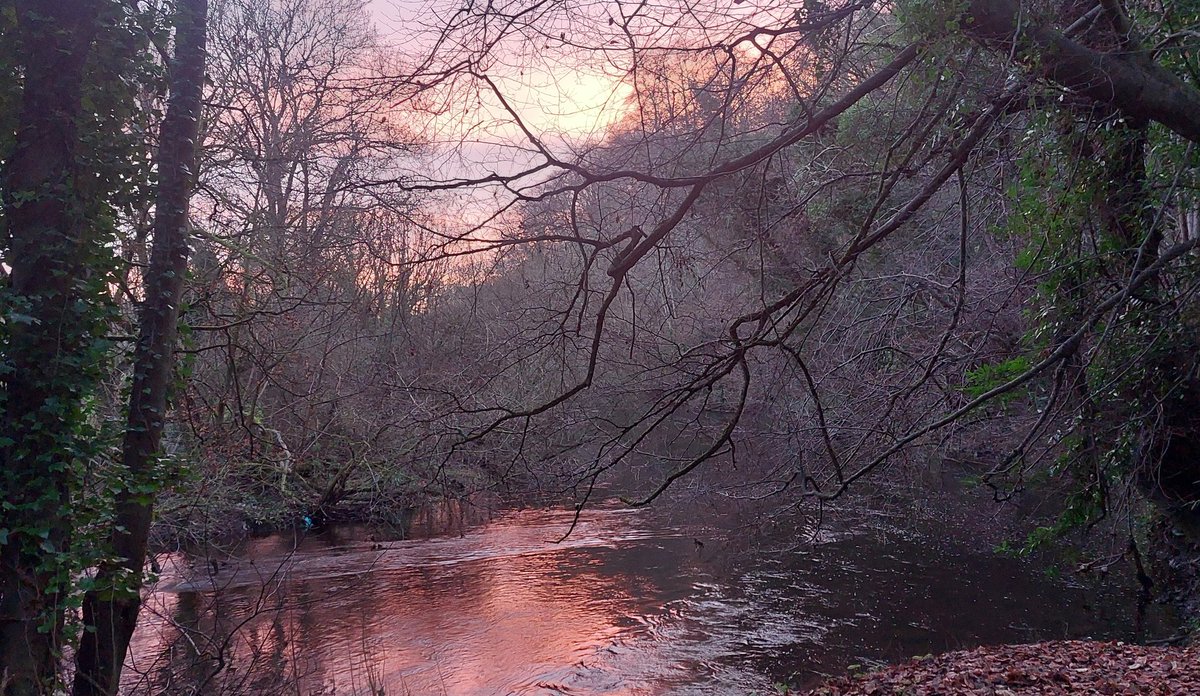 wlhaydock's tweet image. So I&apos;m going to leave it there, also this is photo I used at the subject of the painting. Artistic licence is a wonderful thing 😉 #interpretation #solsticemorning #pinklight #riverliffey #condensedimage