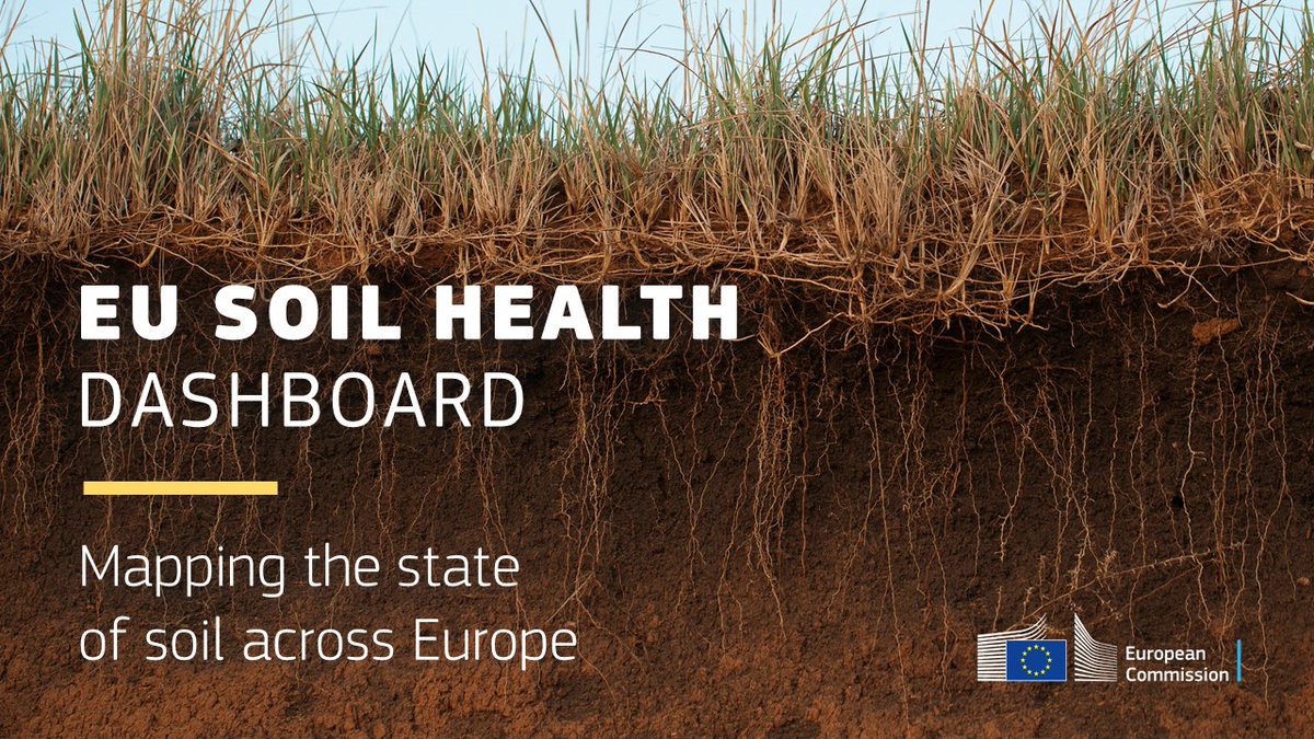 Key #soil threats in 🇪🇺 ⚠️erosion ⚠️floods & landslides ⚠️organic matter loss ⚠️salinisation ⚠️contamination ⚠️compaction ⚠️sealing ⚠️biodiversity loss Our dashboard maps unhealthy soils & related degradation to support restoration 👉 europa.eu/!tp3MpN #GSB2023 #SoilHealth