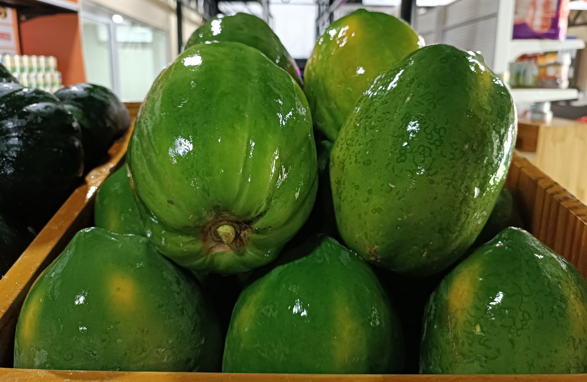 އއ.ތޮއްޑޫއިން ތާޒާ ފަޅޯ(ރެޑް ލޭޑި) ޝިޕްމެންޓެއް މިއަދުވަނީ ލިބިފަ. 😊
ހޯލް ސޭލް 26 ރުފިޔާ (5 ކިލޯ އިން ފެށިގެން)
އޯޑަރު ކޮށްލެއްވުމަށް 3012640 އަށް ގުޅުއްވާލައްވާ، ނުވަތަ 7291130 ވައިބަރ ކޮށްލައްވާ !