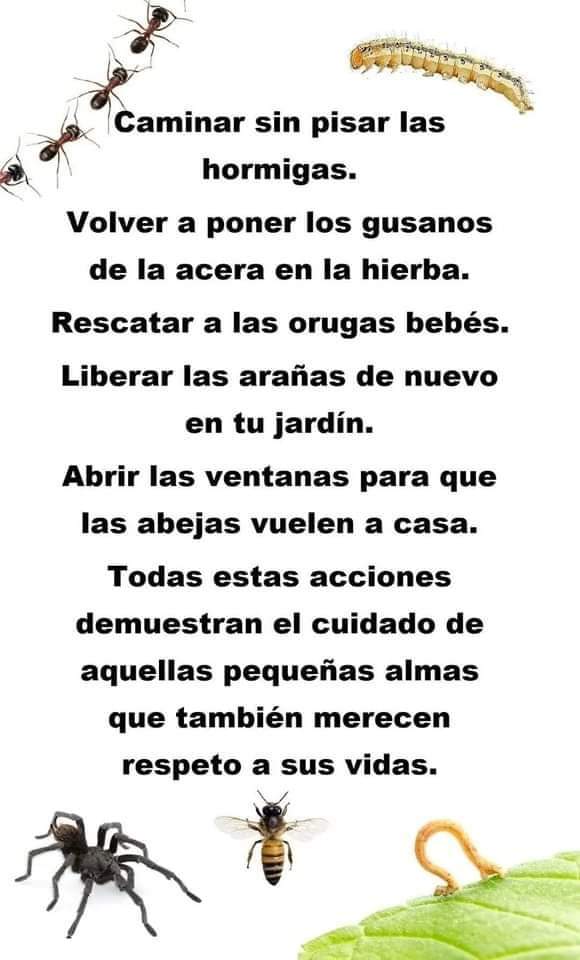 YolandaPrezSeg2's tweet photo. https://t.co/HxyAK4tXaQ