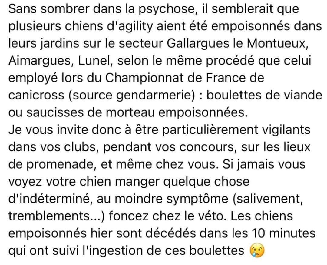asso_TP's tweet photo. @30millionsdamis @SPA_Officiel @Midilibre @Prefet34 Ce sont des empoissonnements ciblés, dans les jardins de particuliers, sur les chemins de promenades empruntés par les maîtres et leurs chiens ... 
Voilà un message reçu d'un de nos adoptants par son éducateur canin hier https://t.co/snKmbROdci