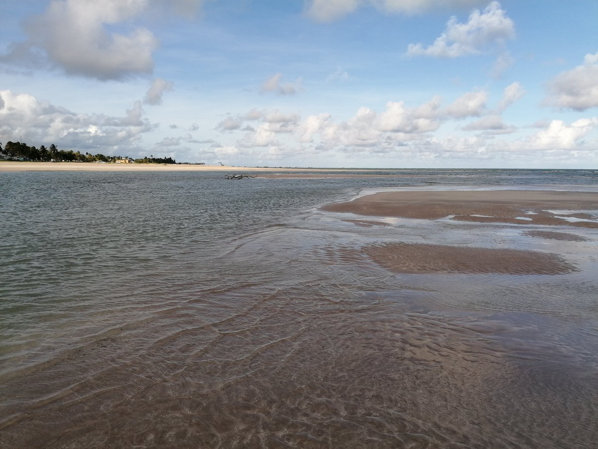 skymanuelima's tweet photo. Praia de Sauaçuhy, Ipioca, Alagoas 🇧🇷. #Praia #Sauaçuhy #Ipioca #Alagoas #Brasil #travelphotography #viagens #FotógrafoAmador https://t.co/QOLOxkITyh
