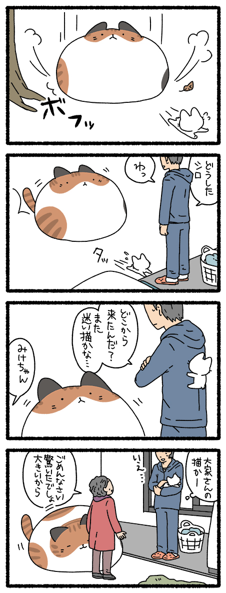 ねこようかい つるべおとし #ねこようかい 