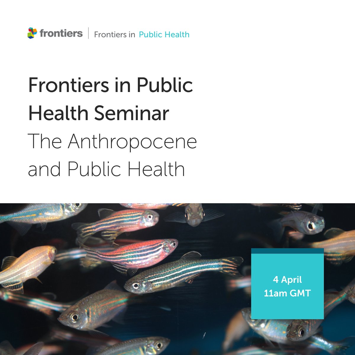 FrontPubHealth's tweet photo. SAVE THE DATE 📅 04 April 23
We are excited to host a webinar on The Anthropocene and Public Health with our Field Chief Editor, Prof. Paolo Vineis of @imperialcollege, and Senior Researcher for @ISGLOBALorg, Prof. Manolis Kogevinas @KogevinasM 
Register: https://t.co/xCHLf4Nfr9 https://t.co/FuAj1aPGkJ