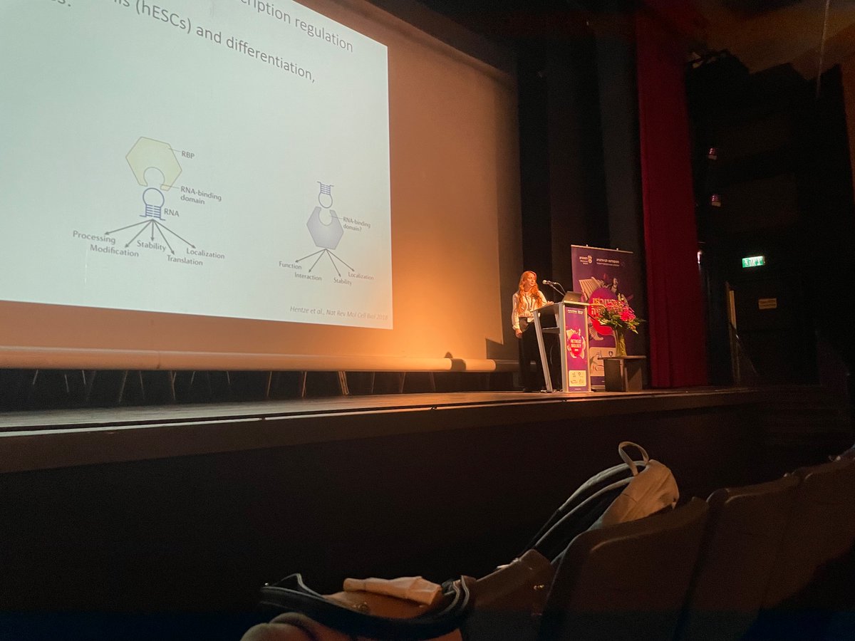 AArgoetti's tweet photo. The very talented @GaliaPolyak represents @YaelmgLAB at the faculty retreat, talking about lncRNAs-mediated regulation of human embryonic development

Great talk Galia! 🤩

@BiologyTechnion
@TechnionLive https://t.co/eKhzChzot9