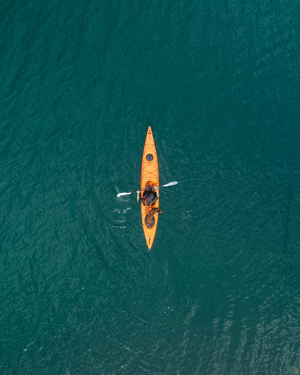 Petra Leary tweet media