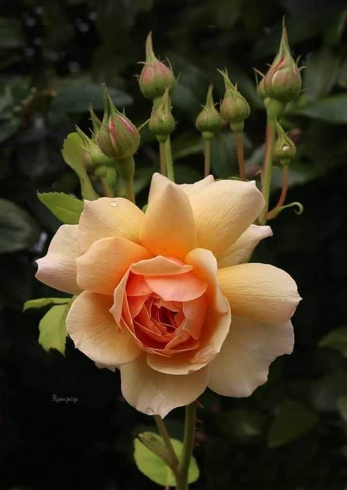 <a href="/Jannat_Mirza1/">Jannat Mirza</a> 
have a good day
