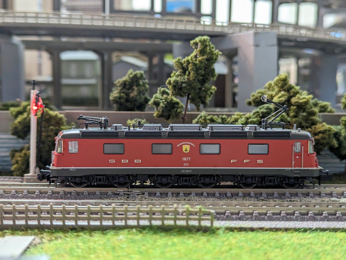 elmertrain1's tweet photo. Fleischmann #Nゲージ
お待たせいたしました。
赤のSBB Re6/6が入荷しました。
#SBB
#Re66
#エルマートレイン
#Elmertrain https://t.co/H2q3kXgy8e
