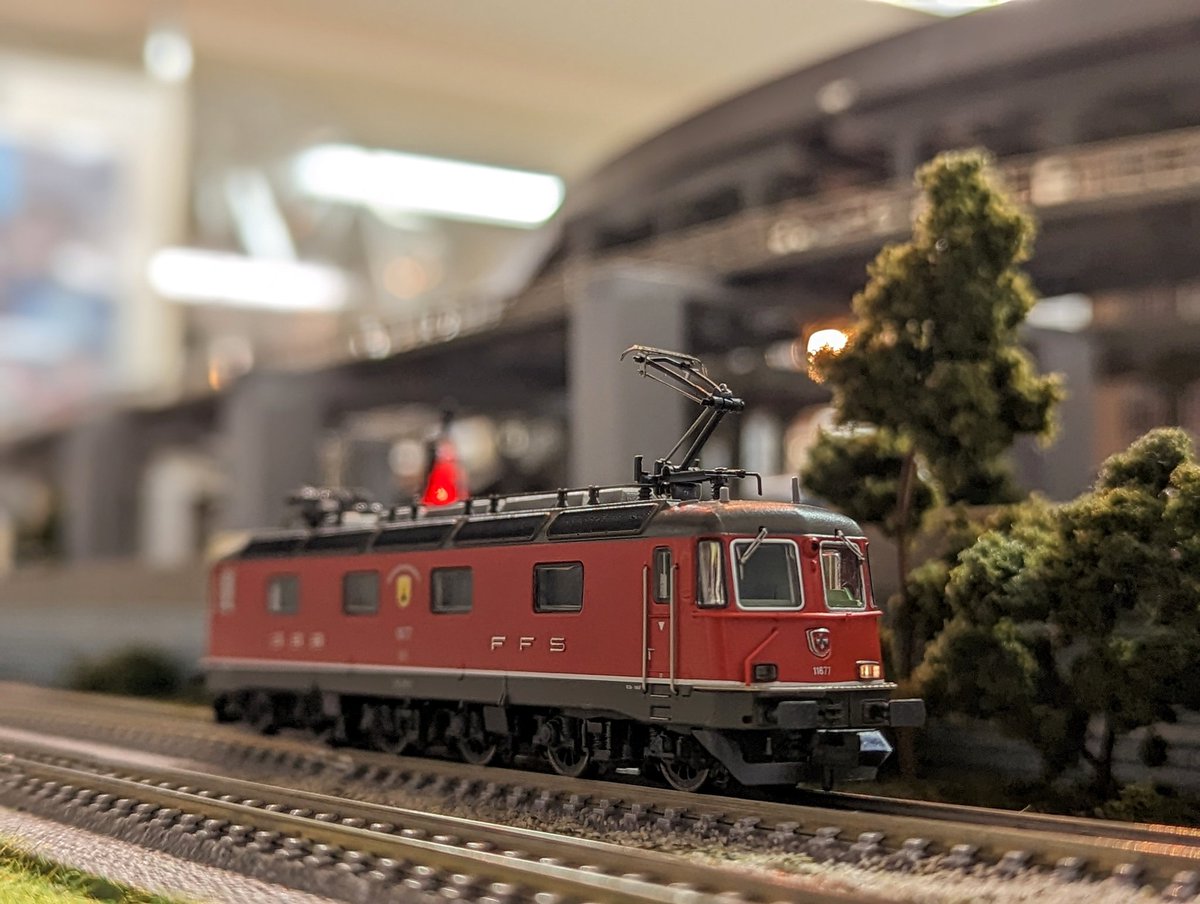 elmertrain1's tweet photo. Fleischmann #Nゲージ
お待たせいたしました。
赤のSBB Re6/6が入荷しました。
#SBB
#Re66
#エルマートレイン
#Elmertrain https://t.co/H2q3kXgy8e