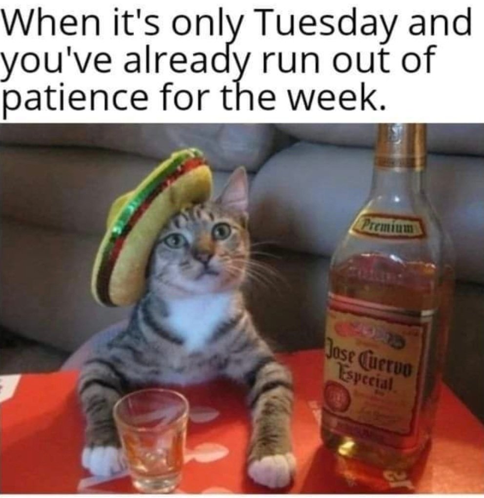 nuttyhunter's tweet photo. It's me 😂 https://t.co/kIkKiohInK