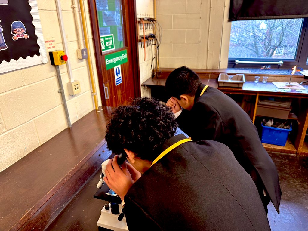 ScienceHolyhead's tweet image. Some of our year 8’s putting on their detective hats, and delving into the world of forensic science! #BritishScienceWeek @holyhead_school