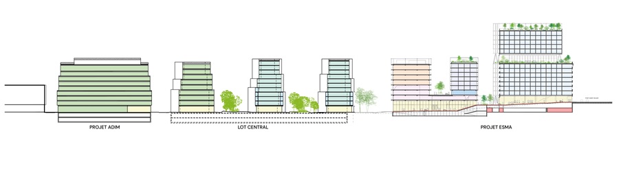 Lucas Auffret tweet media