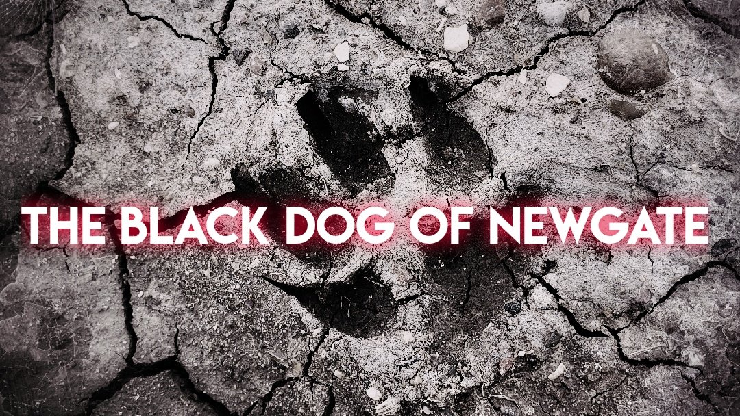 LWall54451552's tweet image. How does a terrible murder lead to supernatural revenge? Find out at: thestrangeways.co.uk/2023/02/the-bl…

@BBlogRT @sincerelyessie
@wetweetblogs @UKBlogRT @gotogirlsblogg #bloglove2018 @bloglove2018 #blogdreamRT @_TeamBlogger