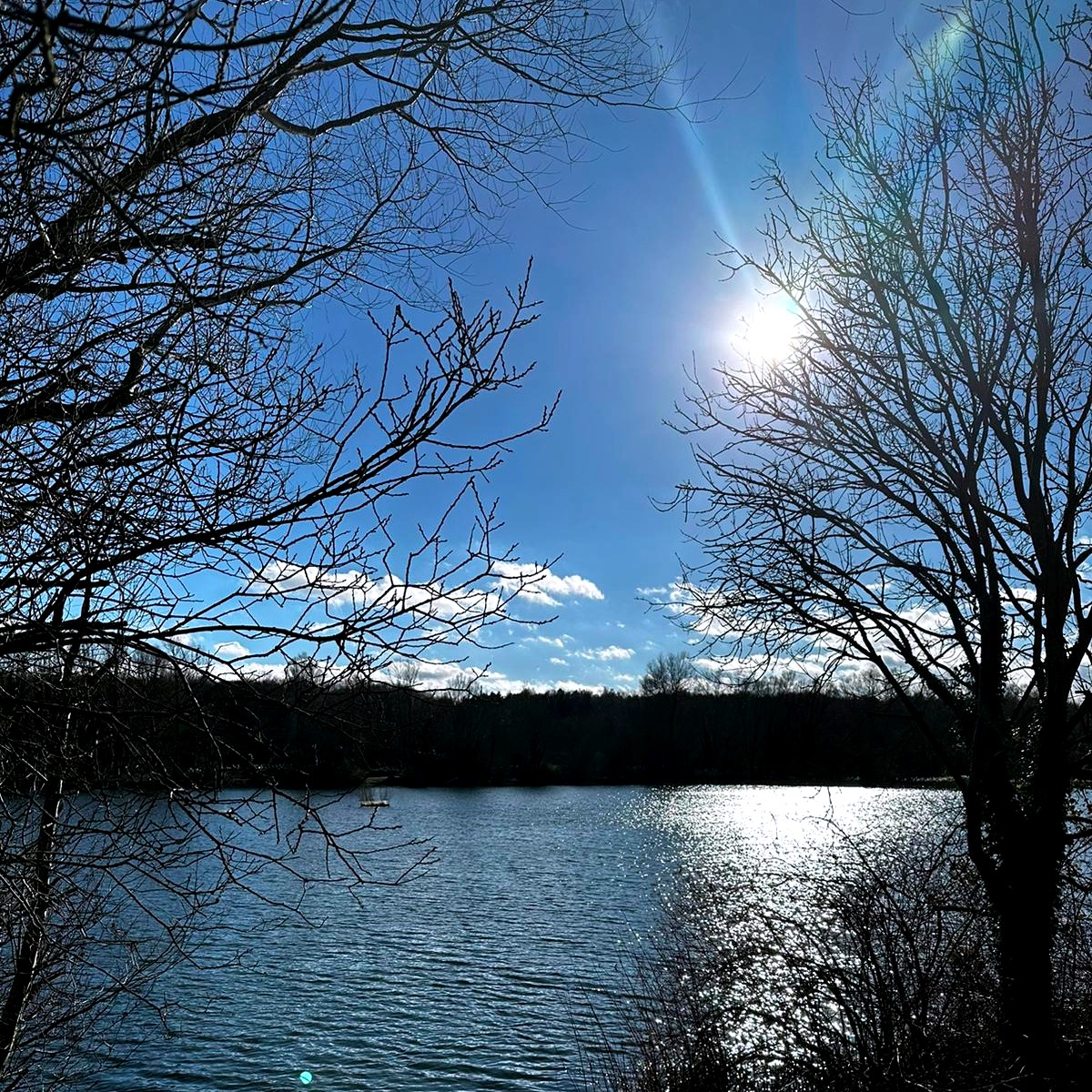 UEALibrary's tweet photo. We are so lucky to have gorgeous views of the lake from the Library.
We may be biased, but we think these views make the Library the perfect study spot. It's just the place for a bit of inspiration.
#UEALibrary #UEALake #StudySpots #UEA #LibraryLife #LibraryLove https://t.co/bk2Y03MPoY