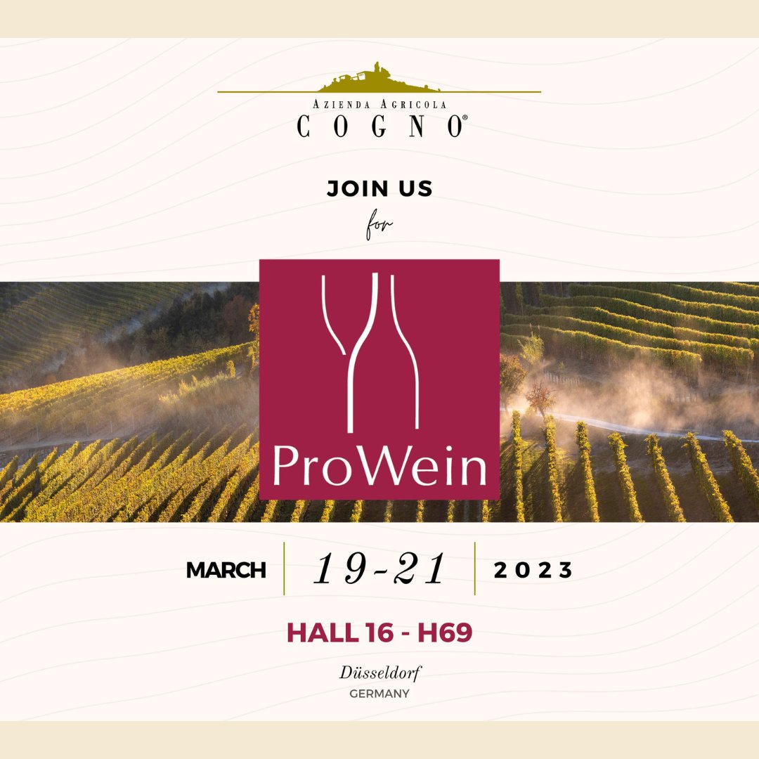 cognowines's tweet photo. [EVENT]
🍷@ProWein 19-21 March, 2023

📍Messe Düsseldorf - Stand Position Hall 16 H 69

👋 Come and say hello! 

#slowine #winevent #elviocogno #winetasting https://t.co/zIdNkn6RhQ