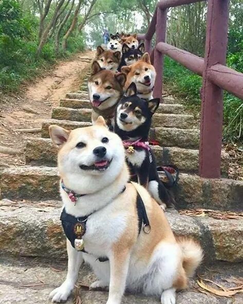 messbian #Strategy (@himomotamus) on Twitter photo 