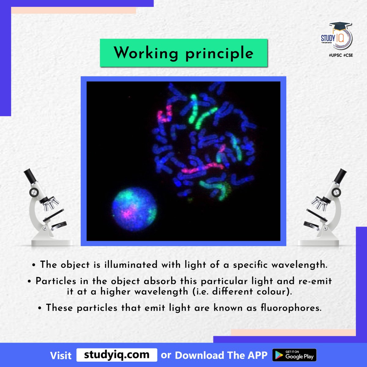 upsciq's tweet photo. Fluorescent Microscopy

#fluorescentmicroscopy #whyinnews #opticalmicroscope #comparison #wavelength #light #reemit #emitlight #fluorophores #fluoresceemitting #internalshape #upsc #cse #ips #ias https://t.co/V6ohpnlfCC