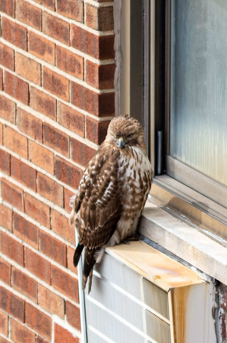 Nick Solares tweet media