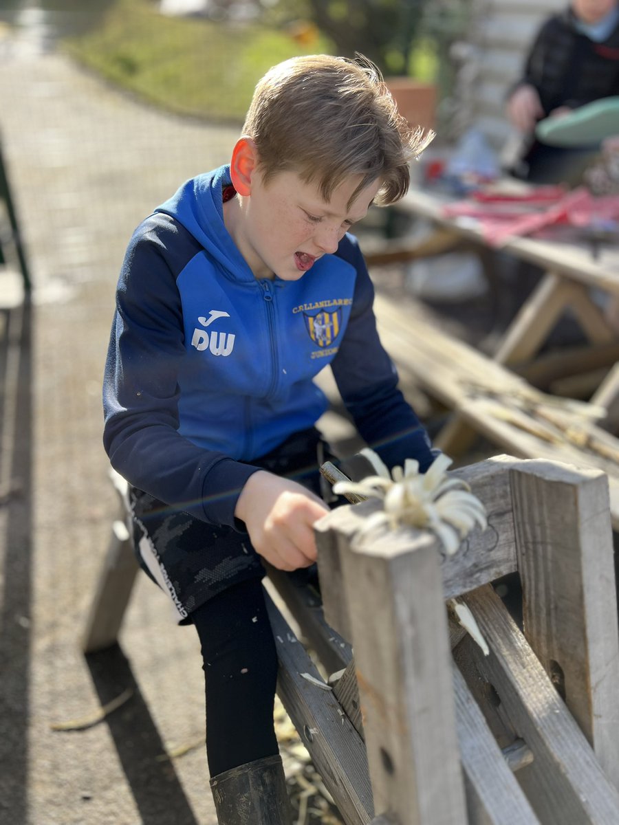 Ysgol Llanilar tweet media