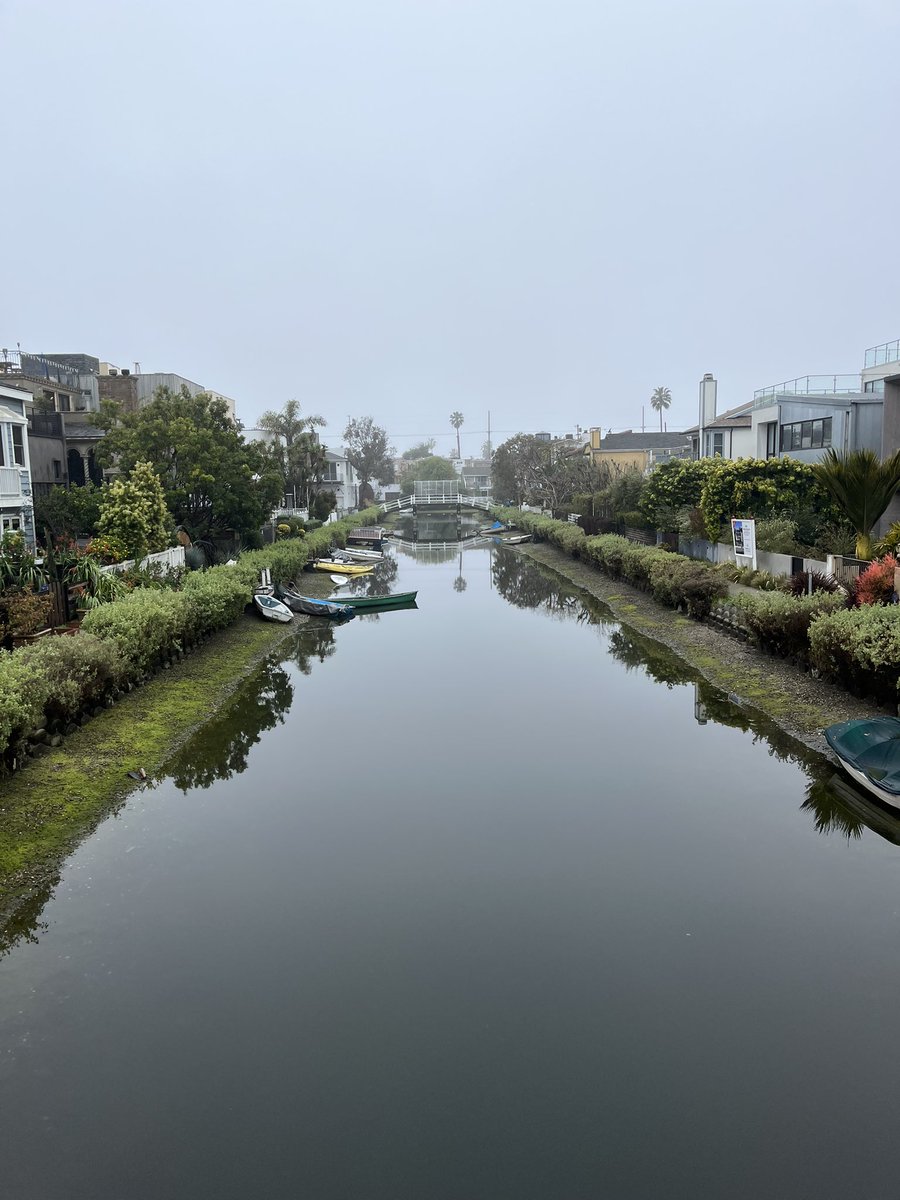 CharleeChay's tweet image. Buddy loves the #venicecanals and wanted to show his daughter. I can’t blame him