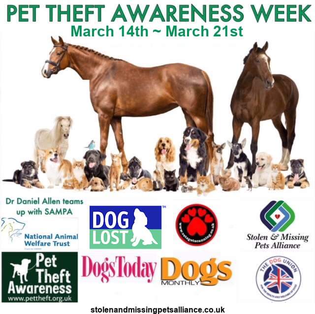DogFriendly_UK's tweet image. Do you know what to do if your pet is stolen or lost? Please check now so you can help recover you much loved pets x #PetTheftAwarenessWeek #keepthemclose #checkyourchip