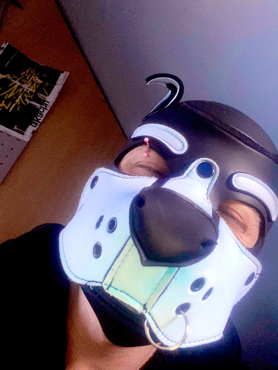 Orca_puppo's tweet photo. *SNOOFS* your boop finger https://t.co/X3wb4Ob7dI