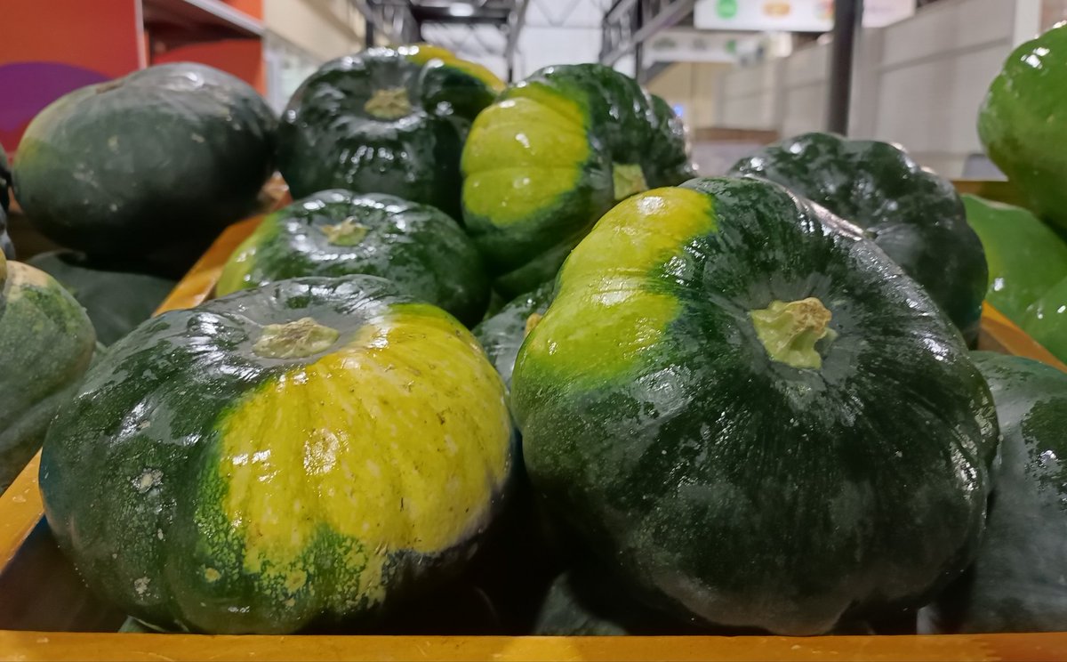 ކ. ކާށިދޫ އިން ވަރަށް ތާޒާ ފަތި ބަރަބޯ ޝިޕްމެންޓެއް މިއަދު ވަނީ އެގްރިސެންޓަރަށް ލިބިފަ. 🙂 
ހޯލް ސޭލް: 18 ރުފިޔާ (5 ކިލޯ އިން ފެށިގެން)
އޯޑަރު ކޮށްލެއްވުމަށް 3012640 އަށް ގުޅުއްވާލައްވާ، ނުވަތަ 7291130 ވައިބާރ ކޮށްލައްވާ!